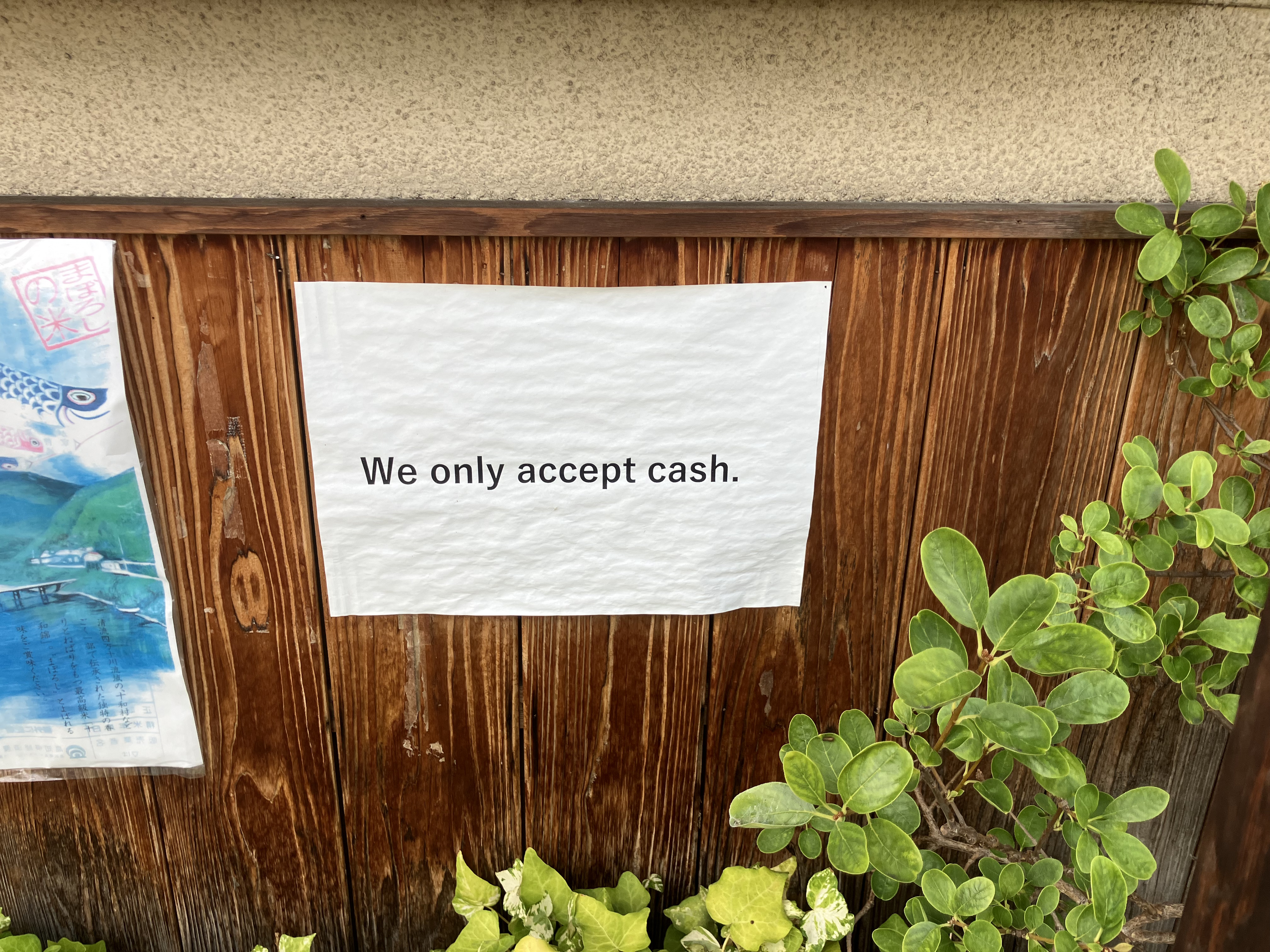 touwa is cash only