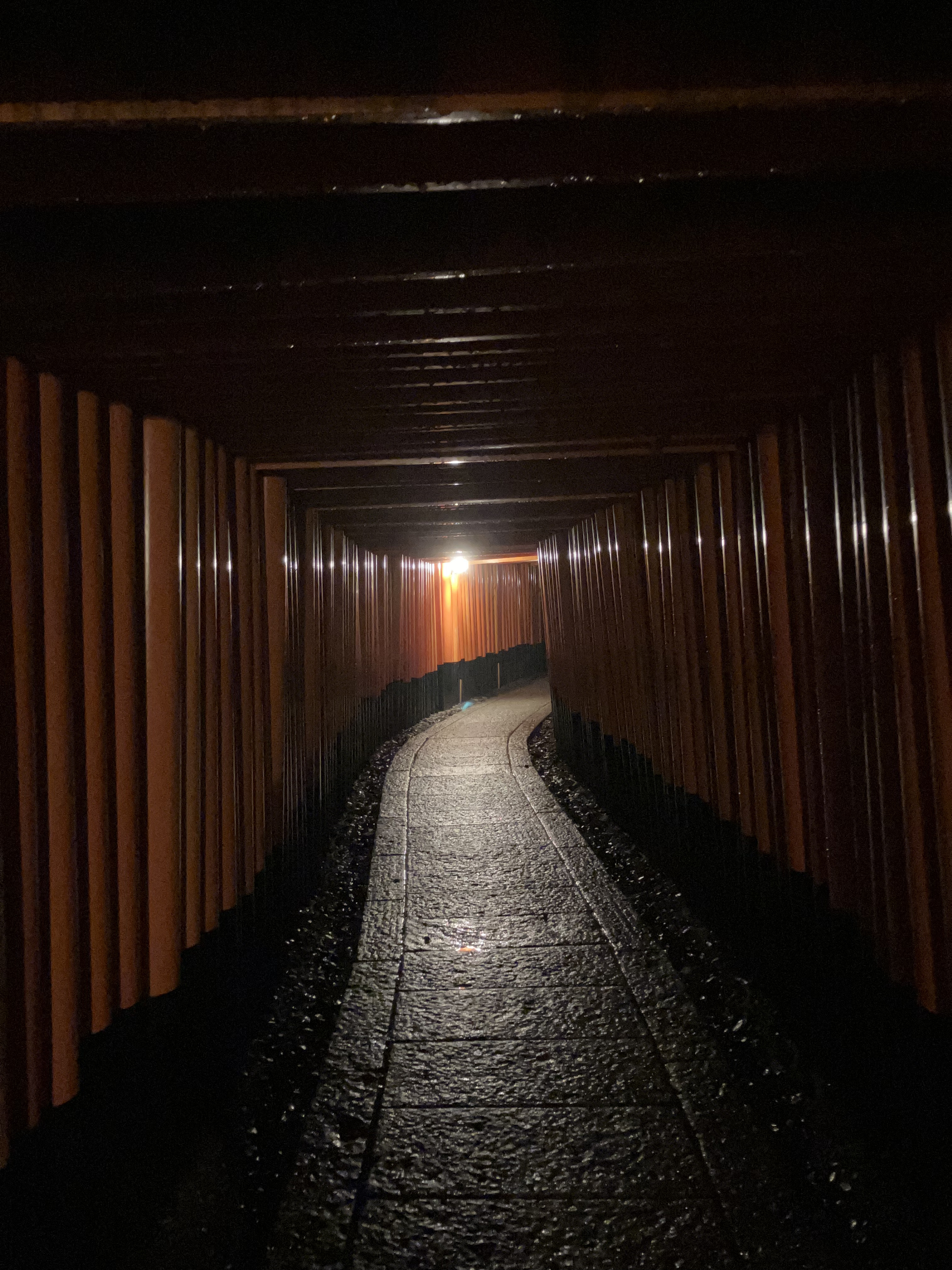 Fushimi Inari Taisha Shrine at Night